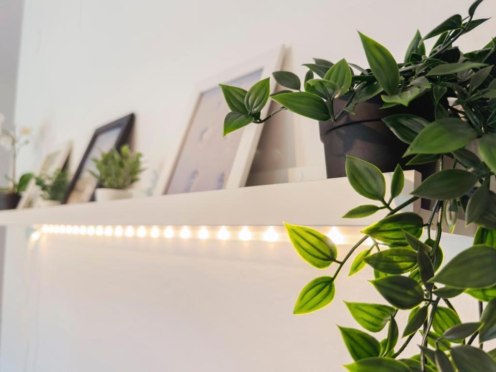 Apartament Ospedale Cisanello Bulls House Piza Zewnętrze zdjęcie